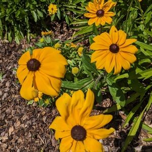 20% 2 item bundle discount now available!